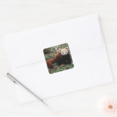 Sticker Carré Panda rouge (Enveloppe)