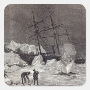 Sticker Carré Pandora a pincé dans la glace