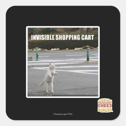 STICKER CARRÉ PANIER INVISIBLE (Devant)