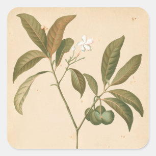 Sticker Carré Panneau I de Deco de cobalt