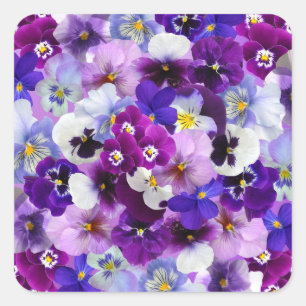 Sticker Carré Pansies des fleurs du printemps de Pâques