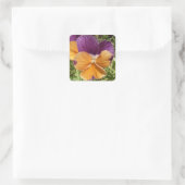 Sticker Carré Pansy Jolly Joker (Sac)