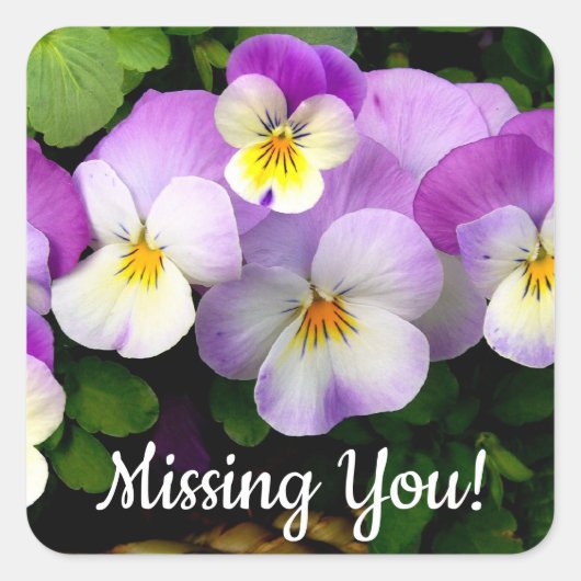 Sticker Carré PANSY Missing You (Devant)