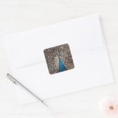 Sticker Carré Paon Bleu Antique (Enveloppe)