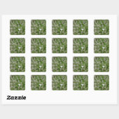 Sticker Carré Papillon au thym rampant (Feuille)