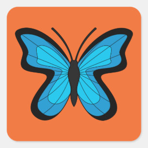 Sticker Carré Papillon bleu
