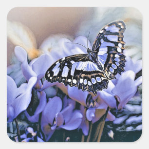 Sticker Carré Papillon bleu