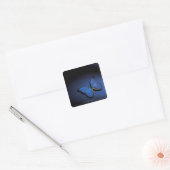 Sticker Carré Papillon bleu (Enveloppe)