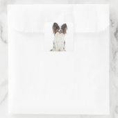 Sticker Carré Papillon Chien Chien Chien - Chien d'Amour (Sac)