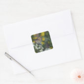 Sticker Carré papillon de skipper sur une fleur (Enveloppe)