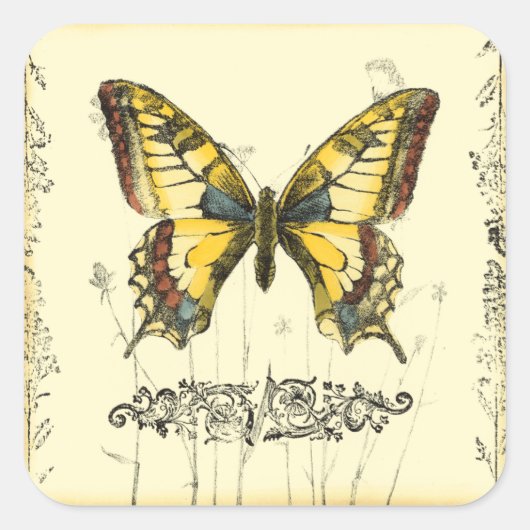 Sticker Carré Papillon décoratif avec Fleur sauvage (Devant)