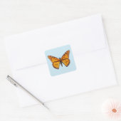 Sticker Carré Papillon Monarque (Enveloppe)