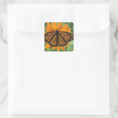 Sticker Carré Papillon monarque (Danaus plexippus) en pot (Sac)