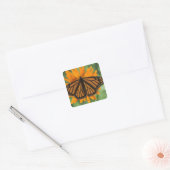 Sticker Carré Papillon monarque (Danaus plexippus) en pot (Enveloppe)