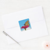 Sticker Carré Papillon monarque sur une fleur (Enveloppe)