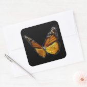 Sticker Carré Papillon orange monarque insecte volant (Enveloppe)
