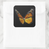 Sticker Carré Papillon orange monarque insecte volant (Sac)