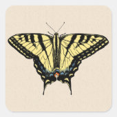 Sticker Carré Papillon Southwestern jaune Swallowtail (Devant)