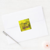Sticker Carré Papillon sur jaune (Enveloppe)