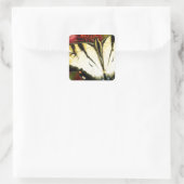 Sticker Carré Papillon Swallowtail (Sac)