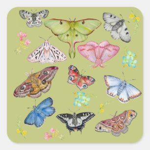 Sticker Carré Papillons à l'aquarelle en vol
