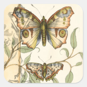 Sticker Carré Papillons tandem au-dessus de feuille vert