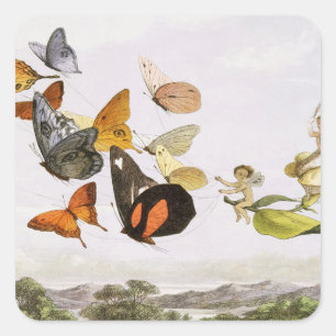 Sticker Carré Papillons vintages & Fée Vieux art d'illustration