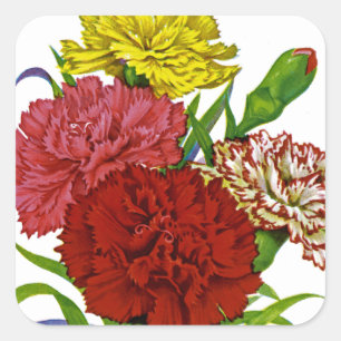 Sticker Carré Paquet de démarrage Vintage Carnation