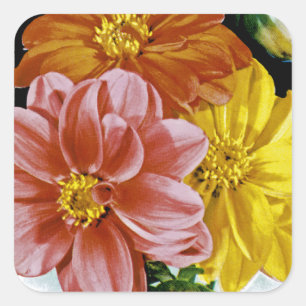 Sticker Carré Paquet de semences Vintage Dahlia