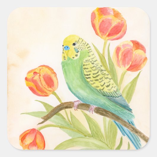 Sticker Carré Parakeet with Tulips  (Devant)