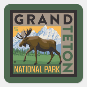 Sticker Carré Parc national de Grand Teton Moose