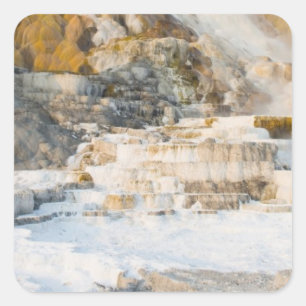 Sticker Carré Parc national de Yellowstone