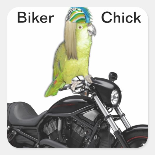 Sticker Carré Parrot Biker Chick on (Devant)