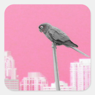 Sticker Carré ~Parrot~ STICKER, PUBLICITÉ, PERSONNALISER