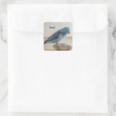 Sticker Carré Parrotlet bleu personnalisé Animaux de compagnie (Sac)