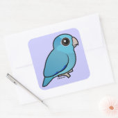 Sticker Carré Parrotlet Pacifique bleu (Enveloppe)