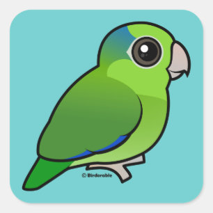 Sticker Carré Parrotlet Pacifique vert