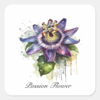Sticker Carré Passionné Purple Passion Fleur