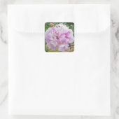 Sticker Carré Pastel Pink Peony et Miel Bee (Sac)