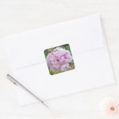 Sticker Carré Pastel Pink Peony et Miel Bee (Enveloppe)