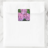 Sticker Carré Pastel rose Hortensia hydrangea fleurs (Sac)