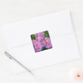 Sticker Carré Pastel rose Hortensia hydrangea fleurs (Enveloppe)