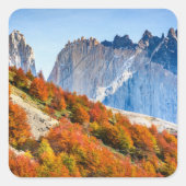 Sticker Carré Patagonie (Devant)