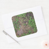 Sticker Carré pâté de gazon et de terre (Enveloppe)