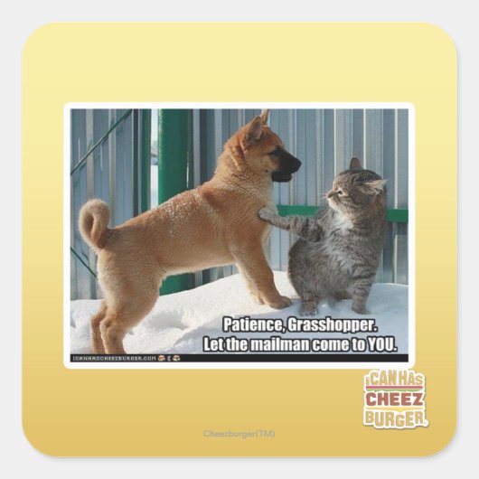 Sticker Carré Patience, sauterelle. (Devant)