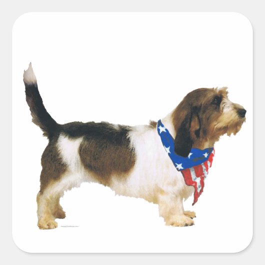 Sticker Carré Patriotic Petit Basset Griffon (Devant)