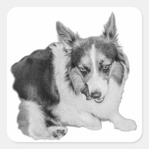 Sticker Carré Patrol Snack