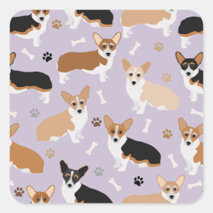 Sticker Carré Patrouilles et os de Chiens de Corgi
