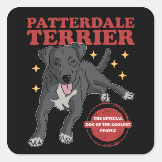 Sticker Carré Patterdale Terrier Chien Des Patterdales Les Plus 