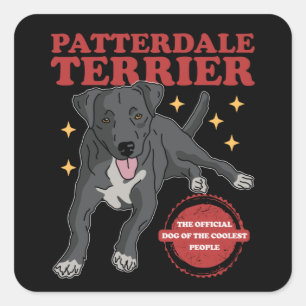Sticker Carré Patterdale Terrier Dog Of The Coolest Patterdales